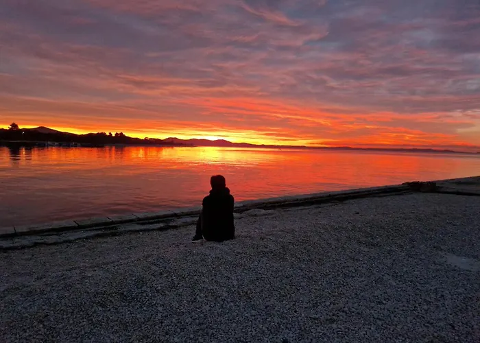 Daire Mare I Ive Zadar